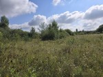 Авіатік (г. Житомир, Королевский район) - Продається ділянка під забудову, 5000 $ - АФНУ